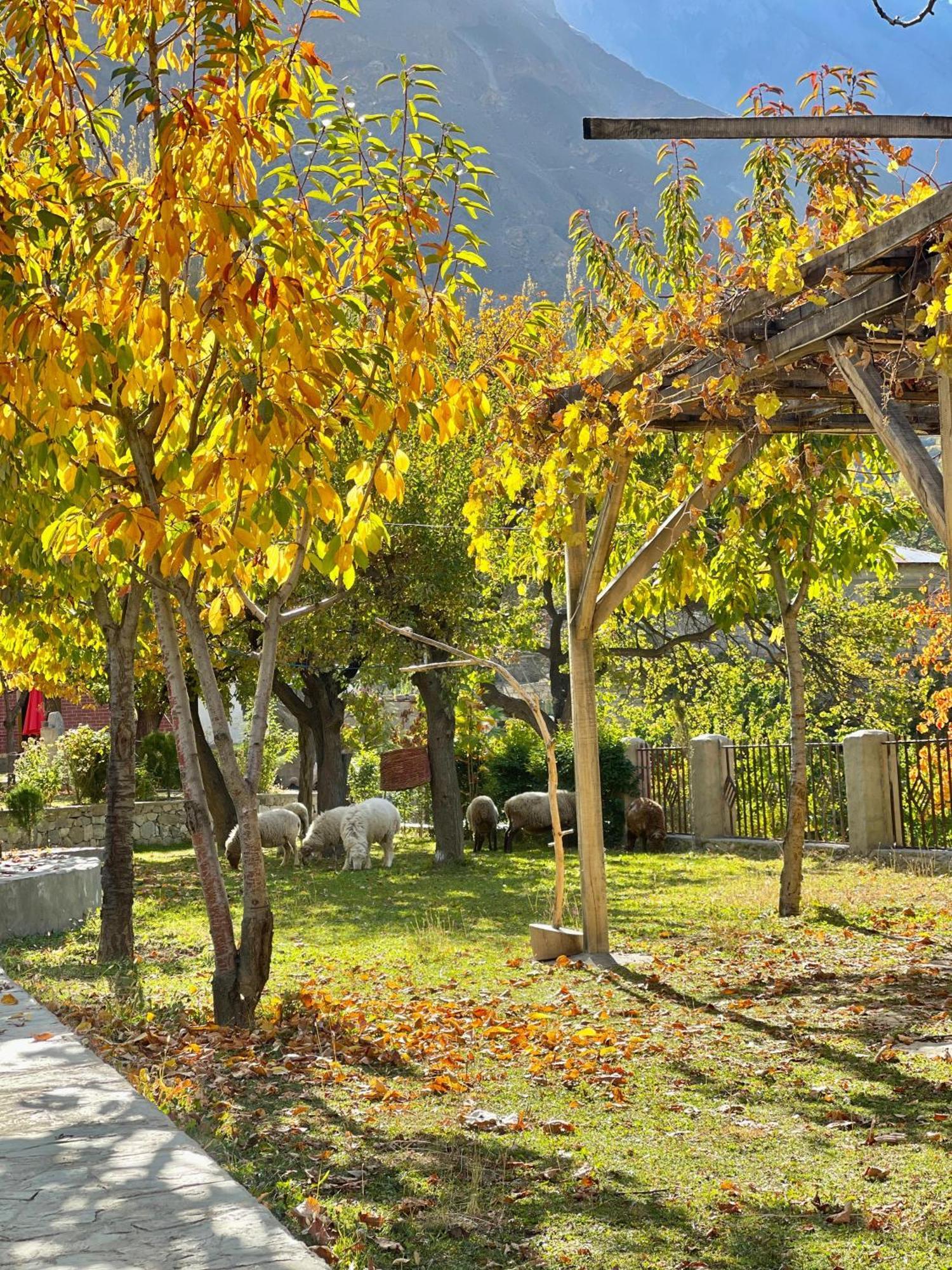 Dumani Nagar Hotel & Resort Karimabad  Bagian luar foto